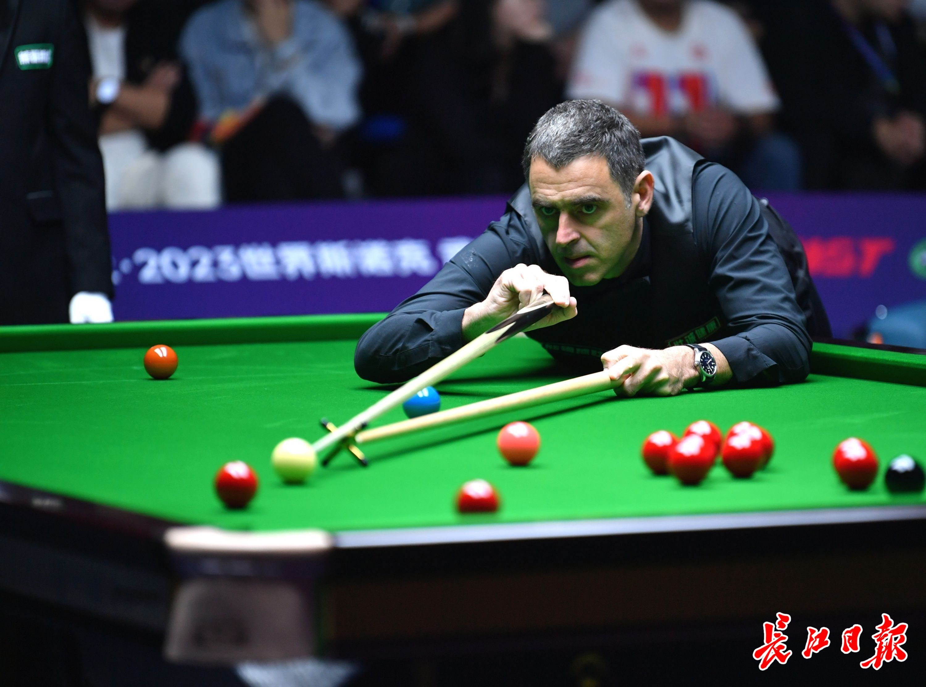 游泳盛宴 游泳盛宴